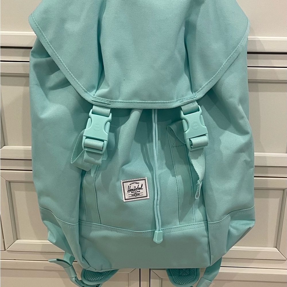 Herschel Supply Company Mint Backpack - Picture 1 of 7